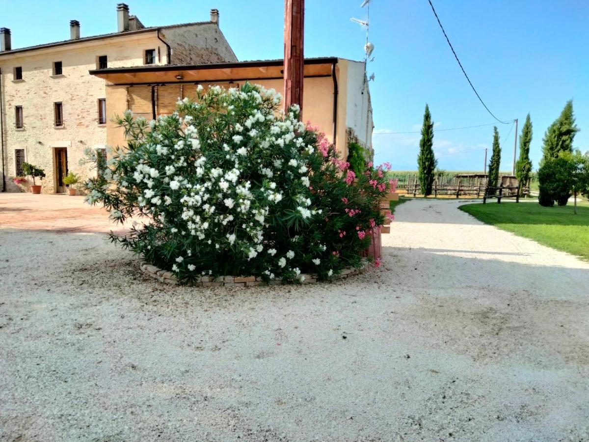 B&B Turistic 7 Castel Goffredo Exteriér fotografie